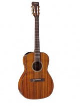 Takamine Takamine Ef407 - New Yorker - En Etui