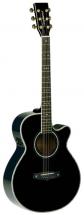 Tanglewood 49bkdlxb Super Sundance Series Black