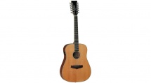 Tanglewood Evolution Iv Dreadnought 12