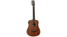 Tanglewood Winterleaf Orchestra Travel