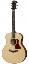 Taylor 516 Grand Symphonie + Etui