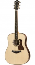 Taylor 810e Dreadnought