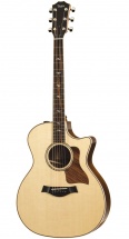 Taylor 814ce Grand Auditorium Cutaway