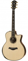 Taylor 916ce Grand Symphonie + Etui