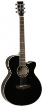 Tanglewood Tsfcebk