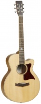 Tanglewood Premier Iii