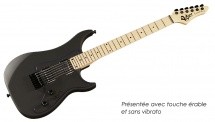 Vigier Excalibur Indus Textblack + Etui