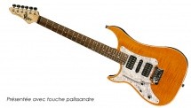 Vigier Excalibur Special Hsh Gaucher Gold + Etui