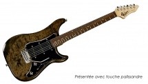 Vigier Expert Standard 63 Clear Black + Etui