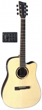 Vgs R-10 Ce Rose