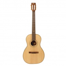 Vintage Guitars Ve8000pb Paul Brett Signature + Housse