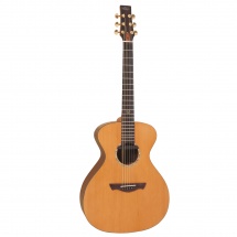 Vintage Guitars Ve2000dlx Gordon Giltrap Signature Deluxe + Etui