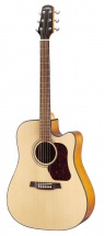 Walden Natura D550ce