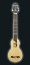 Washburn Rover Ro10 Cordes Acier
