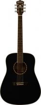 Washburn Wd10sb Noire