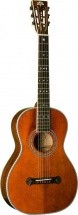 Washburn R314kk