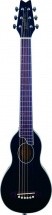 Washburn Ro10tbk