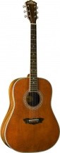 Washburn Wsj124k