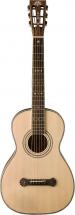 Washburn R315kk Finition Naturel Livre En Etui Gc141