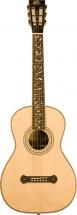 Washburn R321swrk Livre En Etui Gc141