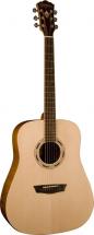 Washburn Ac Wd015s