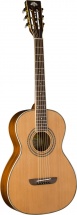 Washburn Wp11sns Parlor