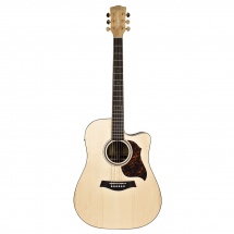 Wsl Dreadnought Rosewood Cutaway Fishman Eq Emotion