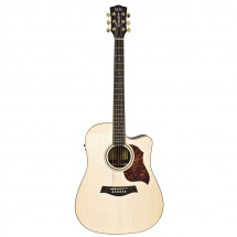 Wsl Dreadnought Rosewood Cutaway Fishman Eq Emotion