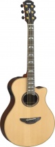 Yamaha Apx1200iint Natural