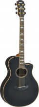 Yamaha Apx1200iitbl Transclucent Black