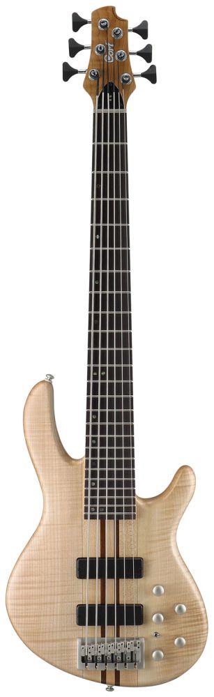 CORTNA6OPN.JPG