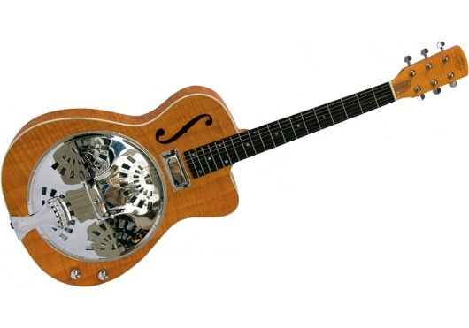 Rg1ce-fr-na Bluegrass Naturel, Electrique Resonator pour 269