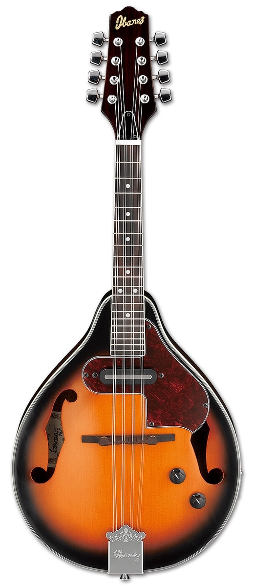 M510e-bs - Brown Sunburst pour 159