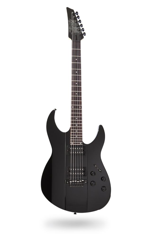 Black Laguna Guitar