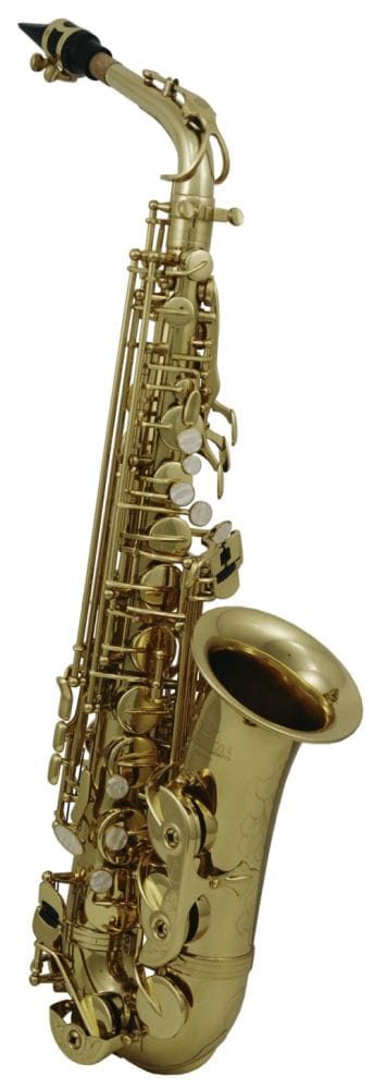 Saxophone Alto D'etude As-202 (verni) pour 658
