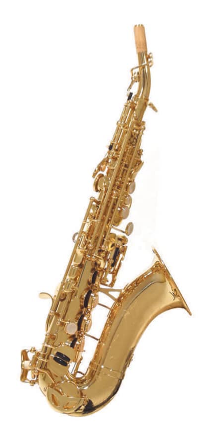 Saxophone Soprano Courbe D'etude Ss-115 (verni) pour 515