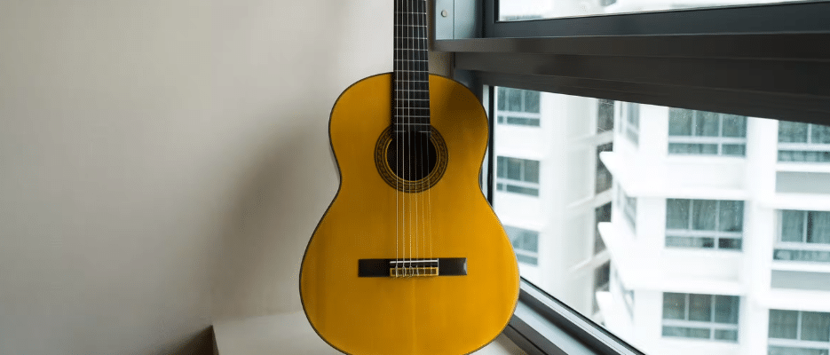 le choix des bois d'une guitare