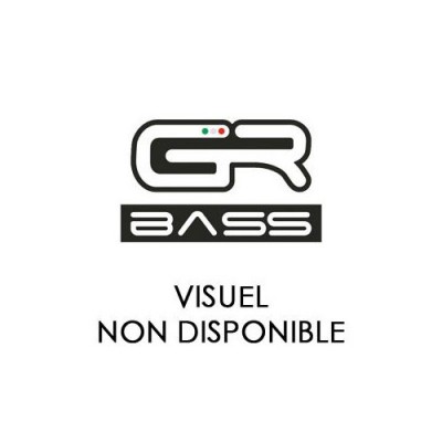 2x10 Bass-Boxen