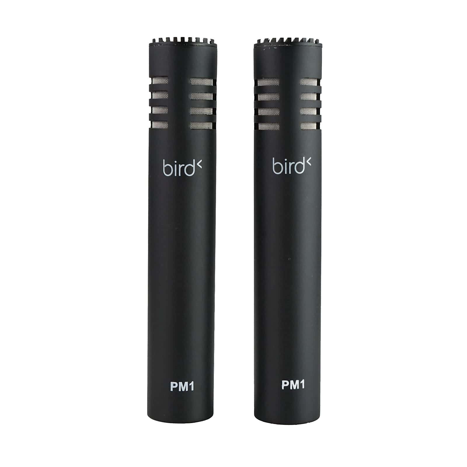 BIRD PM1 