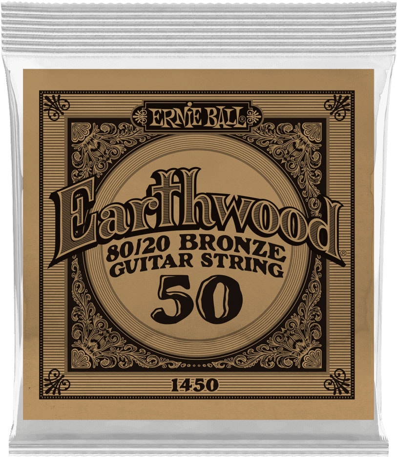 ERNIE BALL .050 EARTHWOOD 80/20 BRONZE ACOUSTIC GUITAR STRINGS