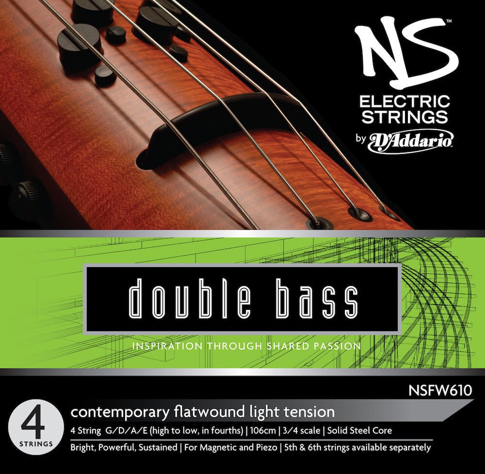 D'ADDARIO AND CO NS ELECTRIC CONTEMPORARY SET NS