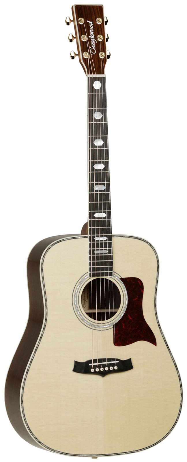 TANGLEWOOD TW1000 H SR