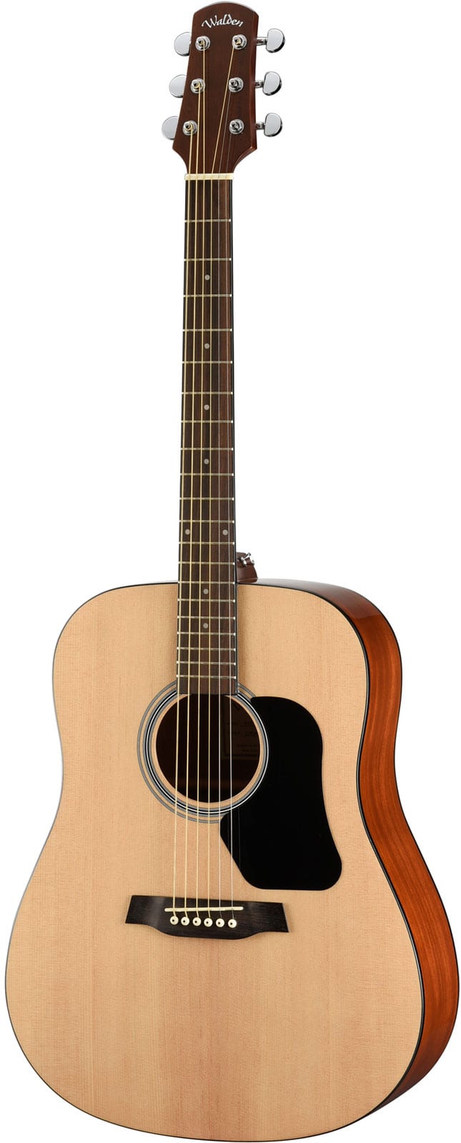 WALDEN DREADNOUGHT D350W