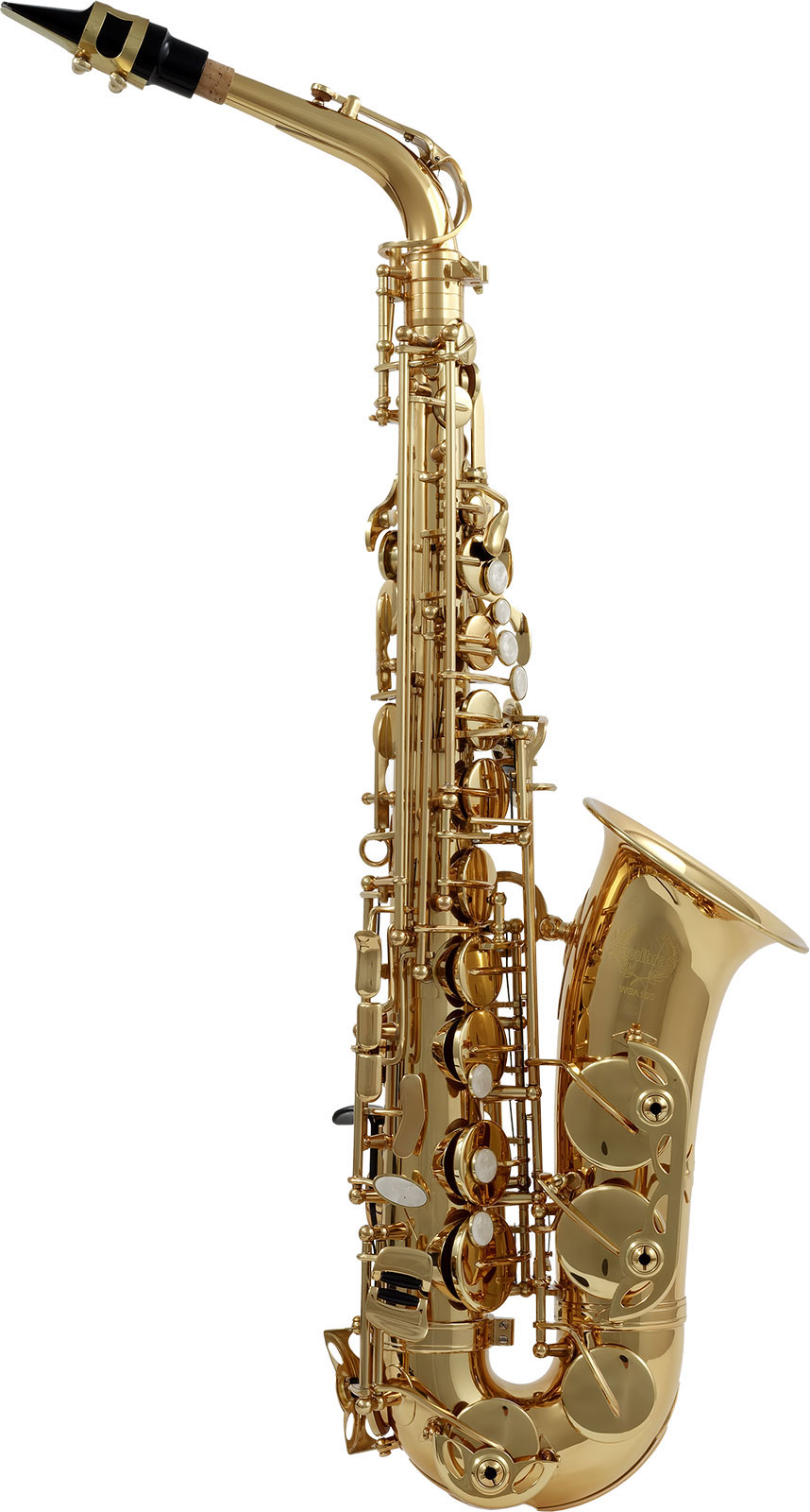 WOODBRASS WSA100 - Alt Mi B Lackiert