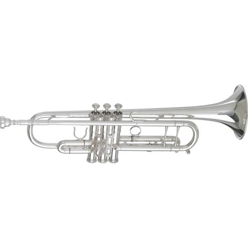 Other trumpets