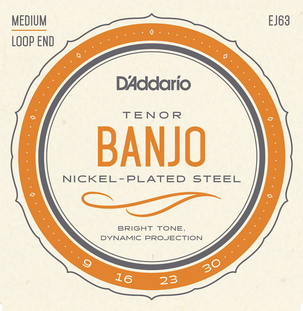 D'ADDARIO AND CO EJ63 TENOR BANJO STRINGS NICKEL 9-30