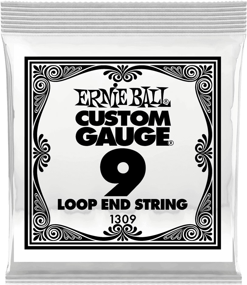 ERNIE BALL .009 LOOP END STAINLESS STEEL PLAIN BANJO OR MANDOLIN GUITAR STRINGS