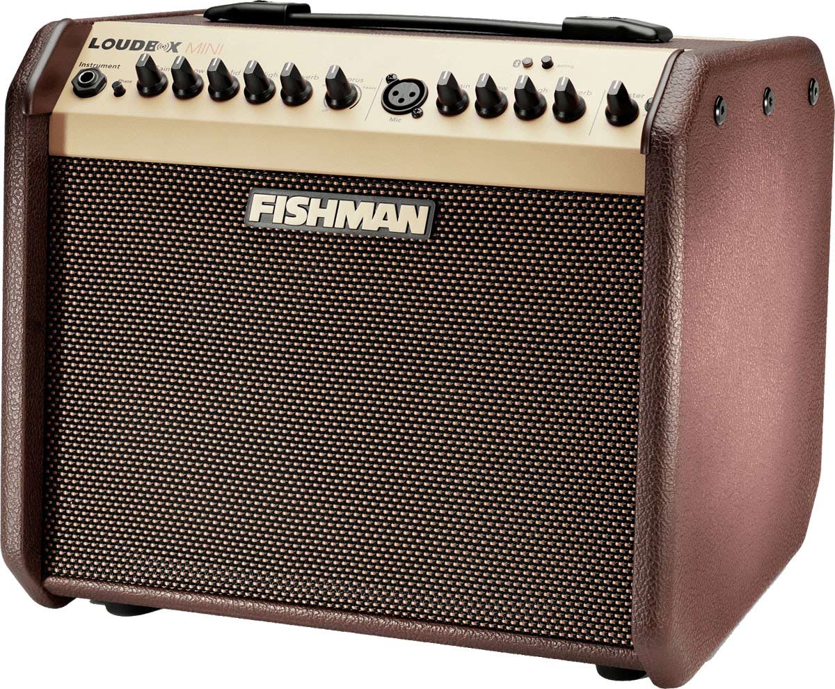 FISHMAN AMPS PRO-LBT-500 60 WATTS LOUDBOX MINI BLUETOOTH