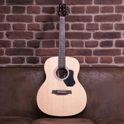 Acoustic guitars