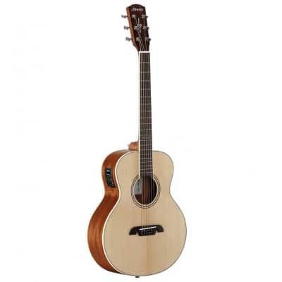 Acoustic Electric travel guitars